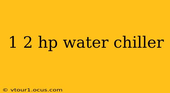1 2 hp water chiller