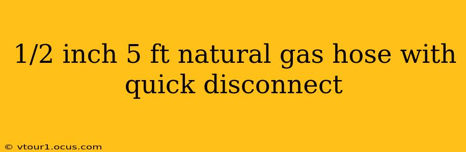 1/2 inch 5 ft natural gas hose with quick disconnect
