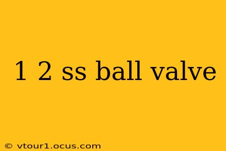 1 2 ss ball valve