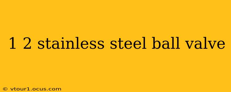 1 2 stainless steel ball valve