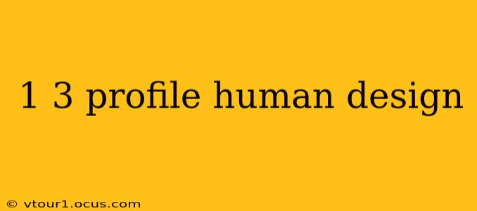 1 3 profile human design