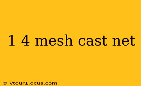 1 4 mesh cast net