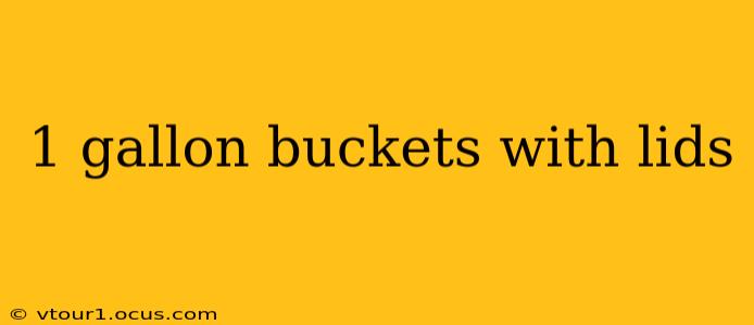 1 gallon buckets with lids
