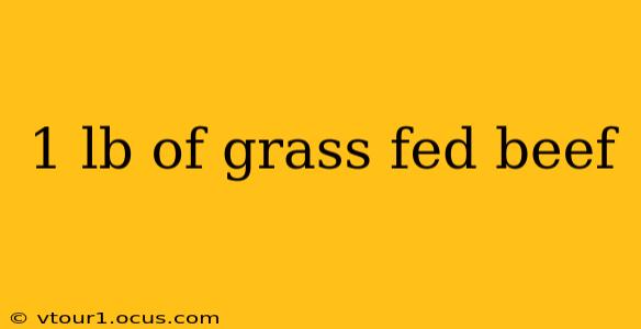 1 lb of grass fed beef