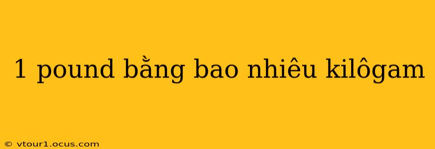 1 pound bằng bao nhiêu kilôgam