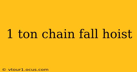 1 ton chain fall hoist