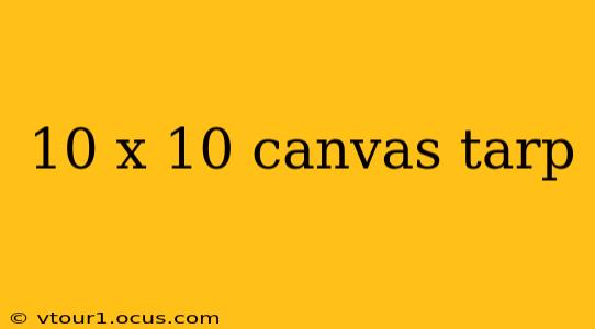 10 x 10 canvas tarp