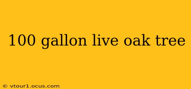 100 gallon live oak tree