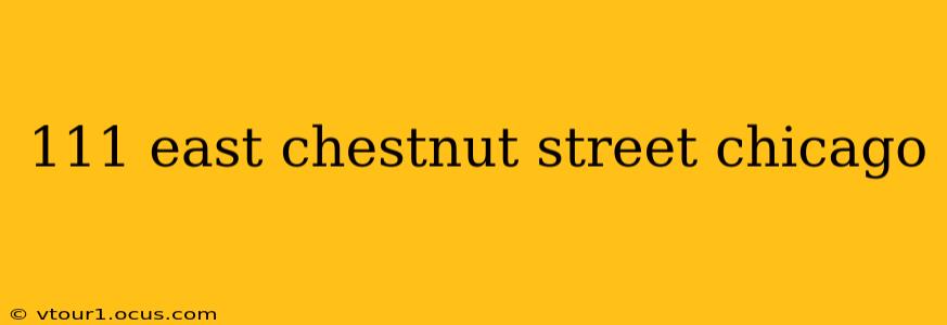 111 east chestnut street chicago