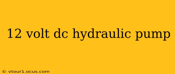 12 volt dc hydraulic pump