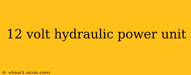 12 volt hydraulic power unit