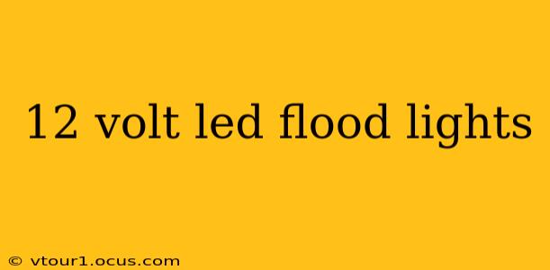 12 volt led flood lights