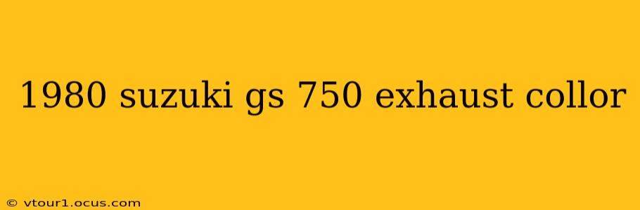 1980 suzuki gs 750 exhaust collor