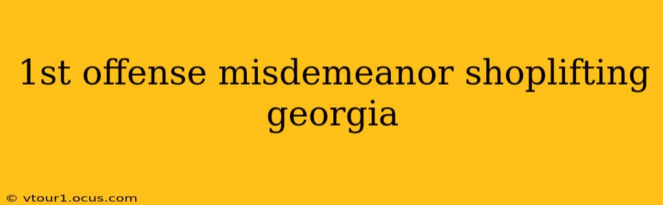 1st offense misdemeanor shoplifting georgia