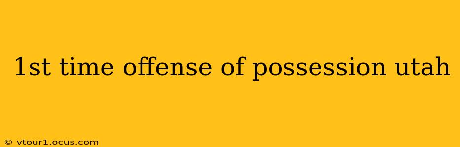 1st time offense of possession utah