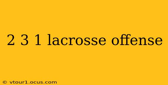 2 3 1 lacrosse offense