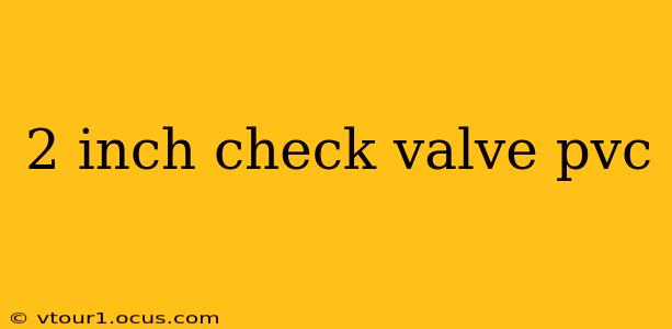 2 inch check valve pvc