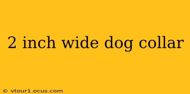 2 inch wide dog collar