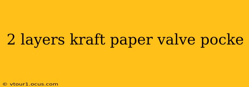 2 layers kraft paper valve pocke