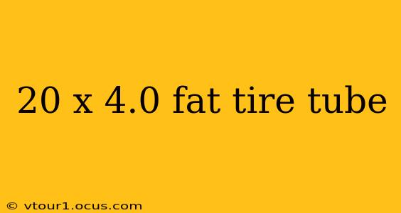 20 x 4.0 fat tire tube
