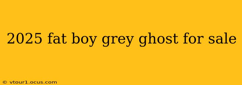 2025 fat boy grey ghost for sale