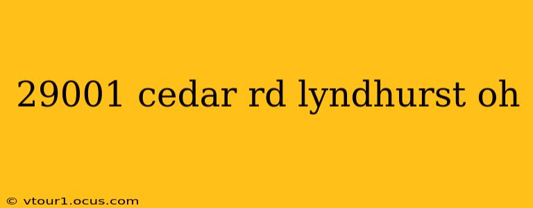 29001 cedar rd lyndhurst oh