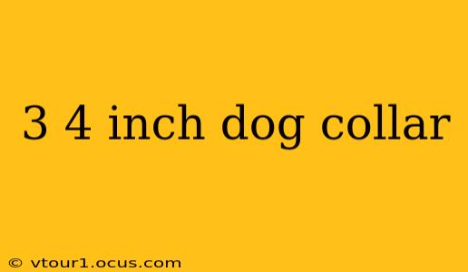 3 4 inch dog collar