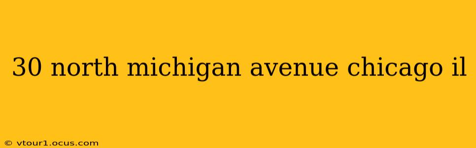 30 north michigan avenue chicago il