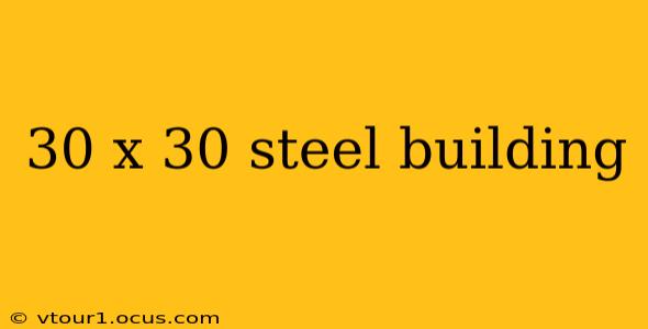 30 x 30 steel building