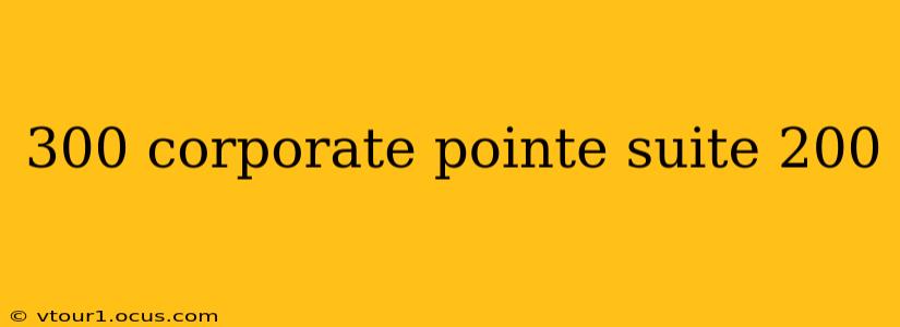 300 corporate pointe suite 200