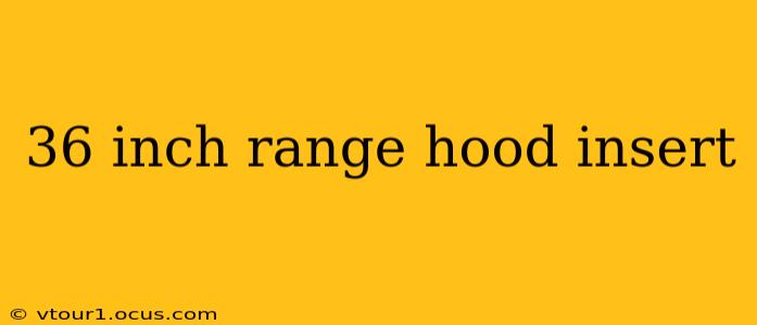 36 inch range hood insert