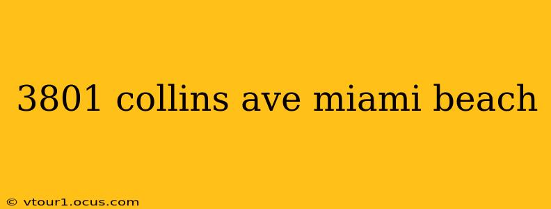 3801 collins ave miami beach