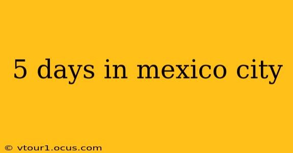 5 days in mexico city