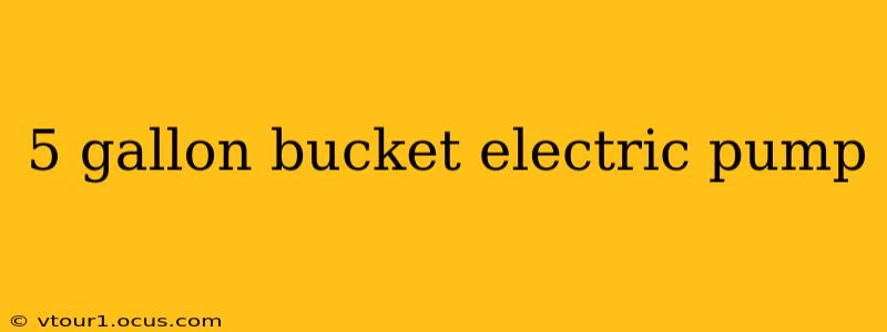 5 gallon bucket electric pump
