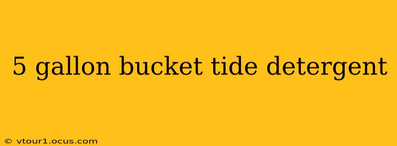 5 gallon bucket tide detergent