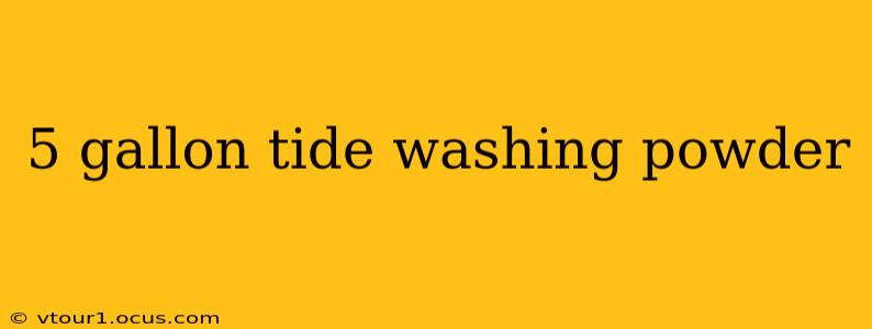 5 gallon tide washing powder