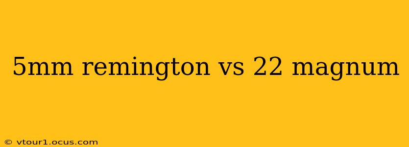 5mm remington vs 22 magnum