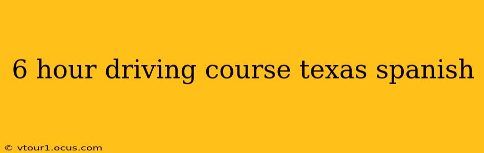 6 hour driving course texas spanish