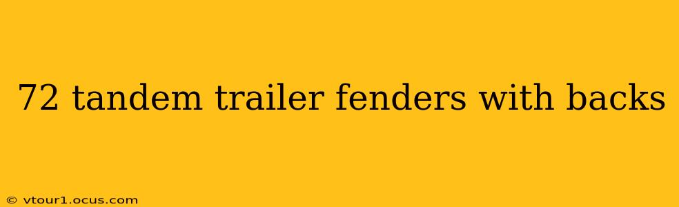 72 tandem trailer fenders with backs