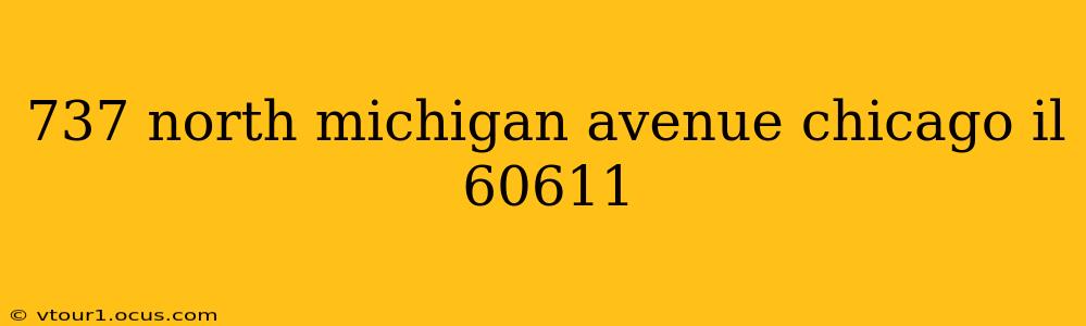 737 north michigan avenue chicago il 60611