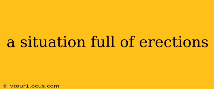 a situation full of erections a situation full of erections