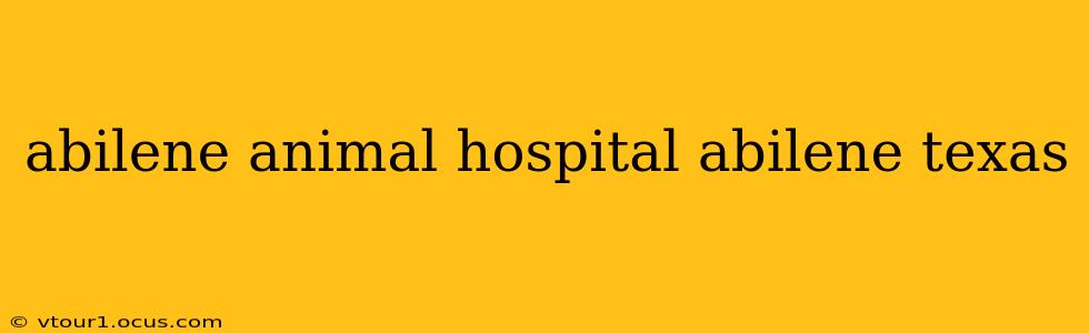 abilene animal hospital abilene texas