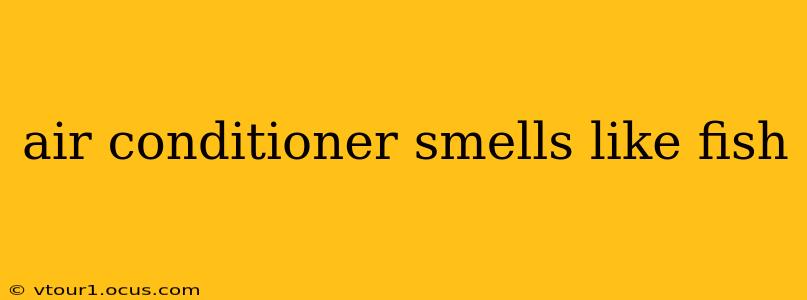 air conditioner smells like fish