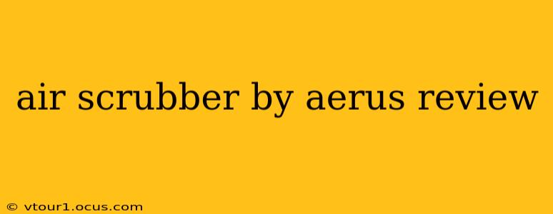 air scrubber by aerus review
