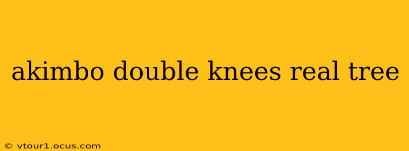 akimbo double knees real tree