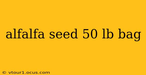 alfalfa seed 50 lb bag