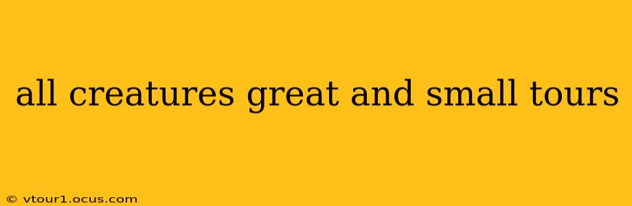 all creatures great and small tours