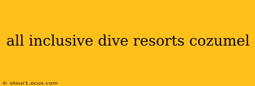 all inclusive dive resorts cozumel