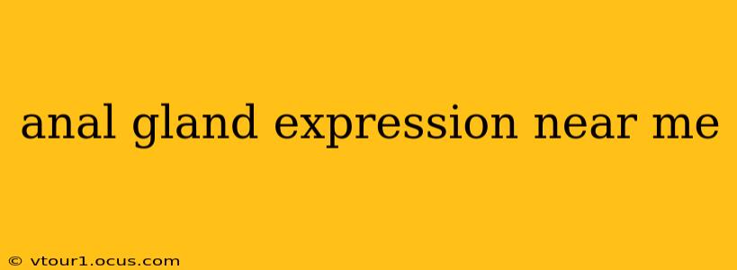 anal gland expression near me