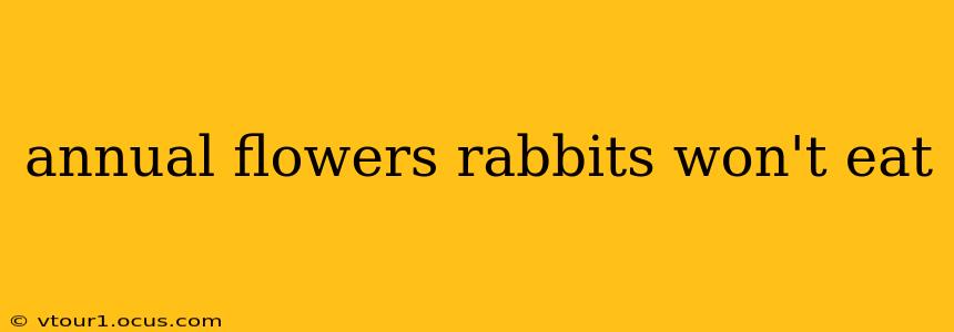 annual flowers rabbits won't eat